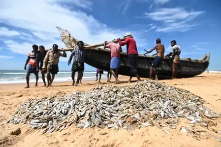 Has India's Fish Production Really Doubled in Just 10 Years?