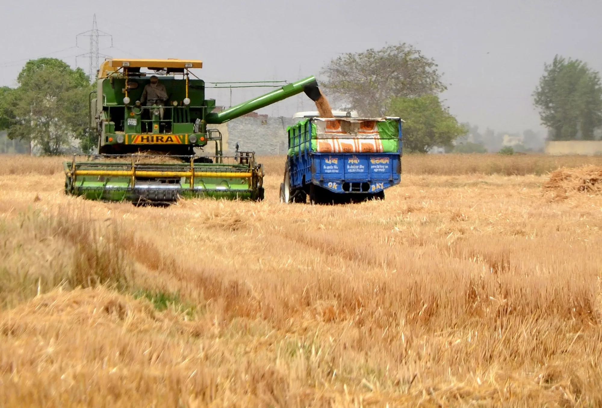 Has India’s foodgrain production surged by 6.8% to exceed 1,663.9 lakh tonnes in FY25?