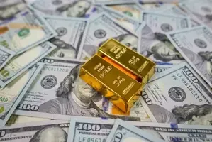 India's Foreign Exchange Reserves Reach $665.4 Billion High