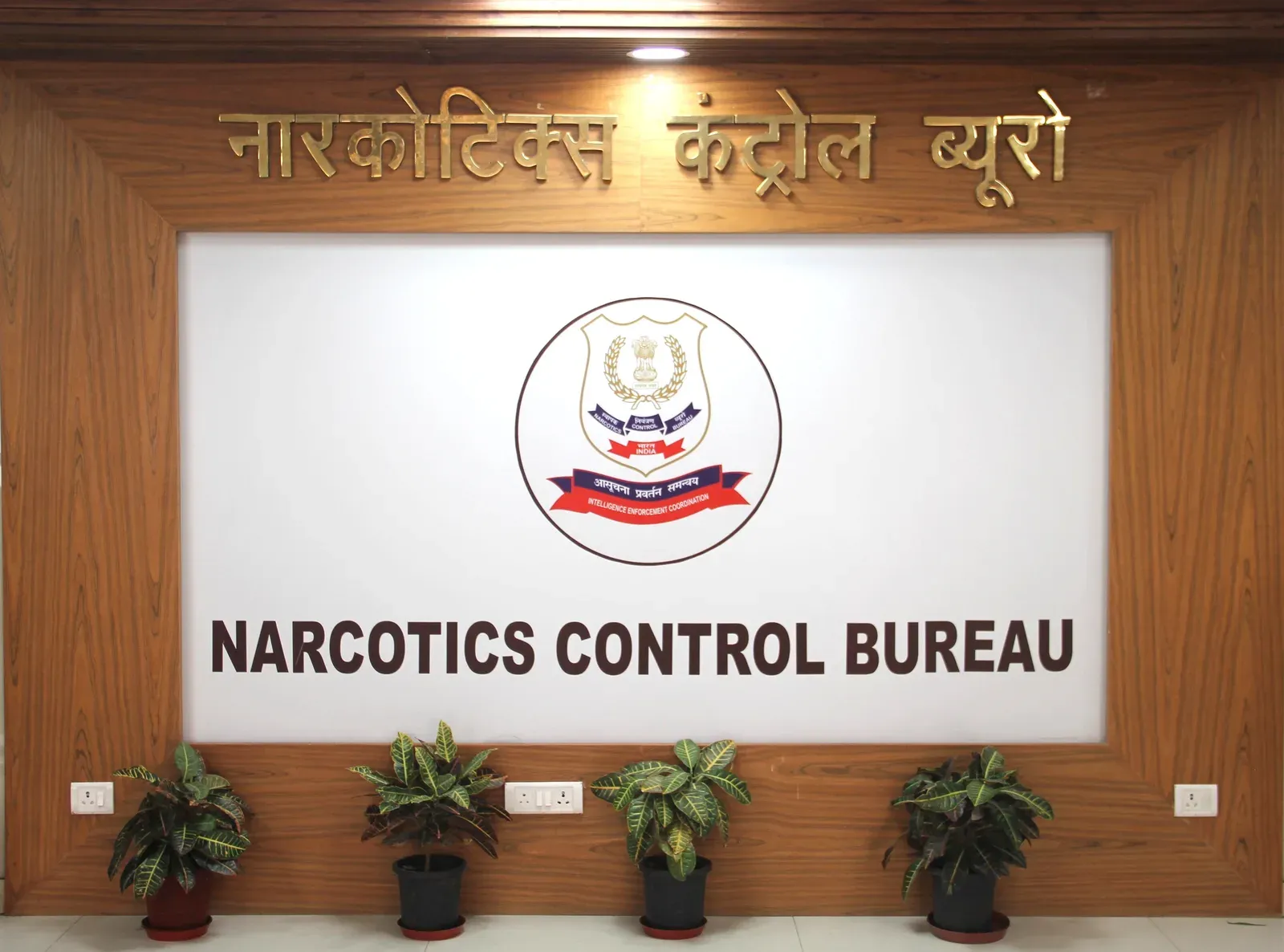 MANAS helpline nears 1 million calls, flags 16,200 drug-trafficking leads