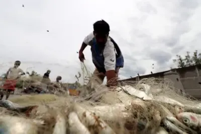 Why Did India's Marine Fish Landings Drop by Two Percent in 2024?