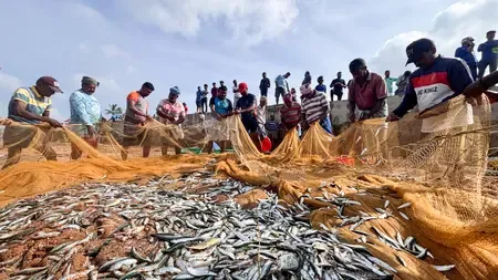 Did India’s Marine Product Exports Surge by 21% from April to October?