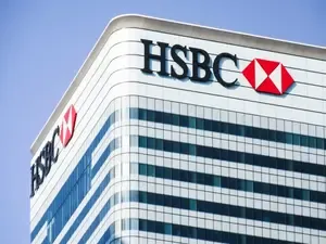India's Services Sector Shows Strong Growth in February: HSBC