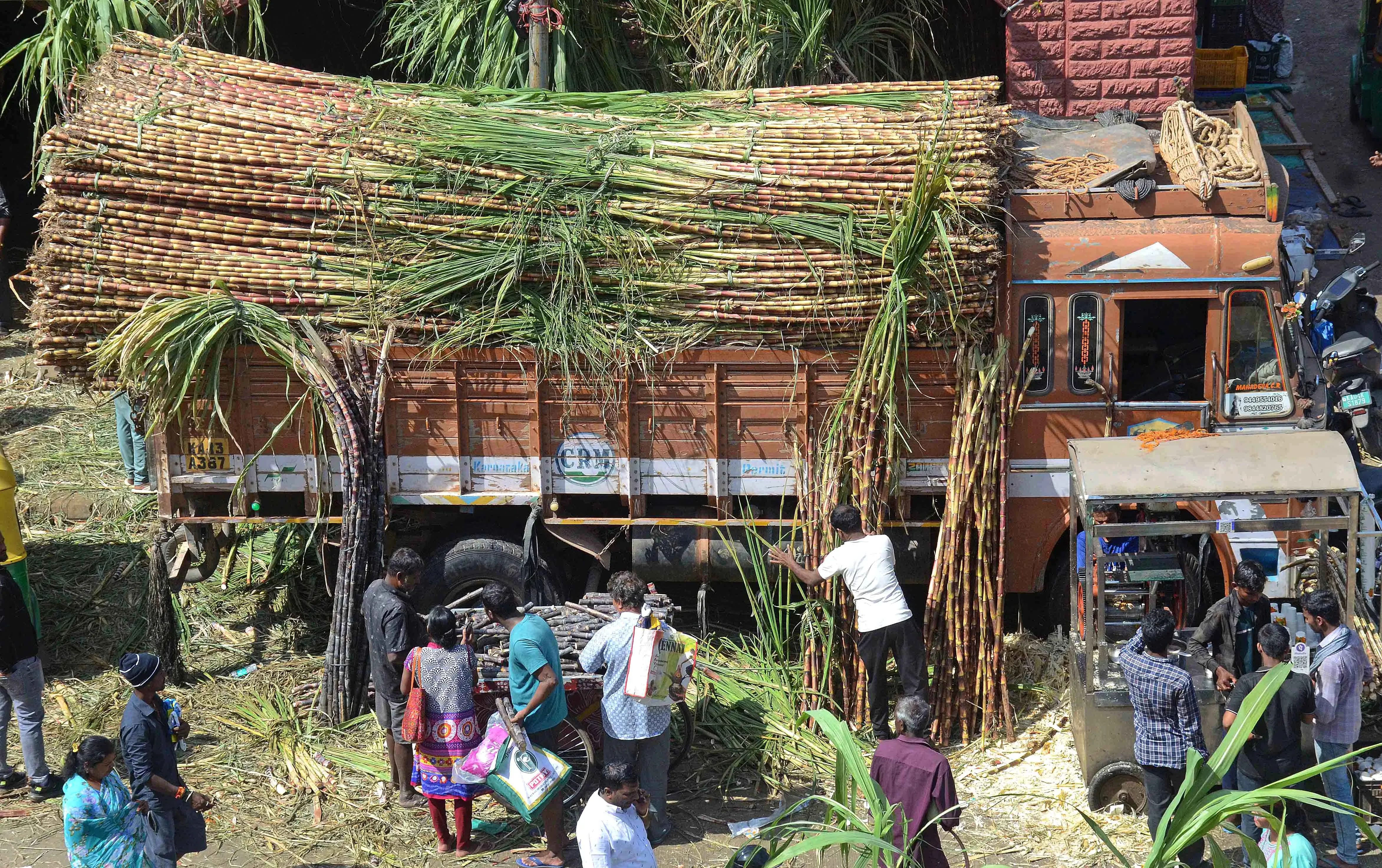 Will India’s Sugar Production Surge by 15% to 35 Million Tonnes Due to Favorable Monsoon?
