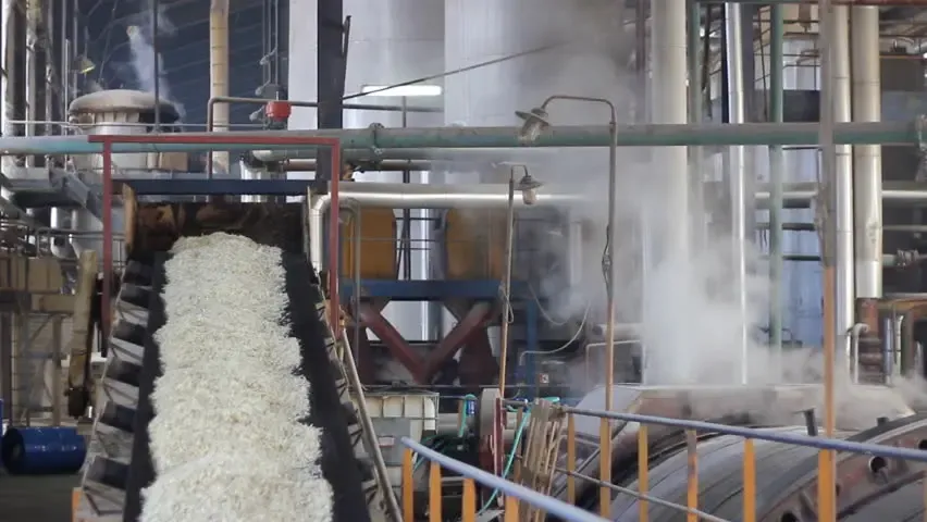 India’s Sugar Output Reaches 247.61 Lakh Tons This Season