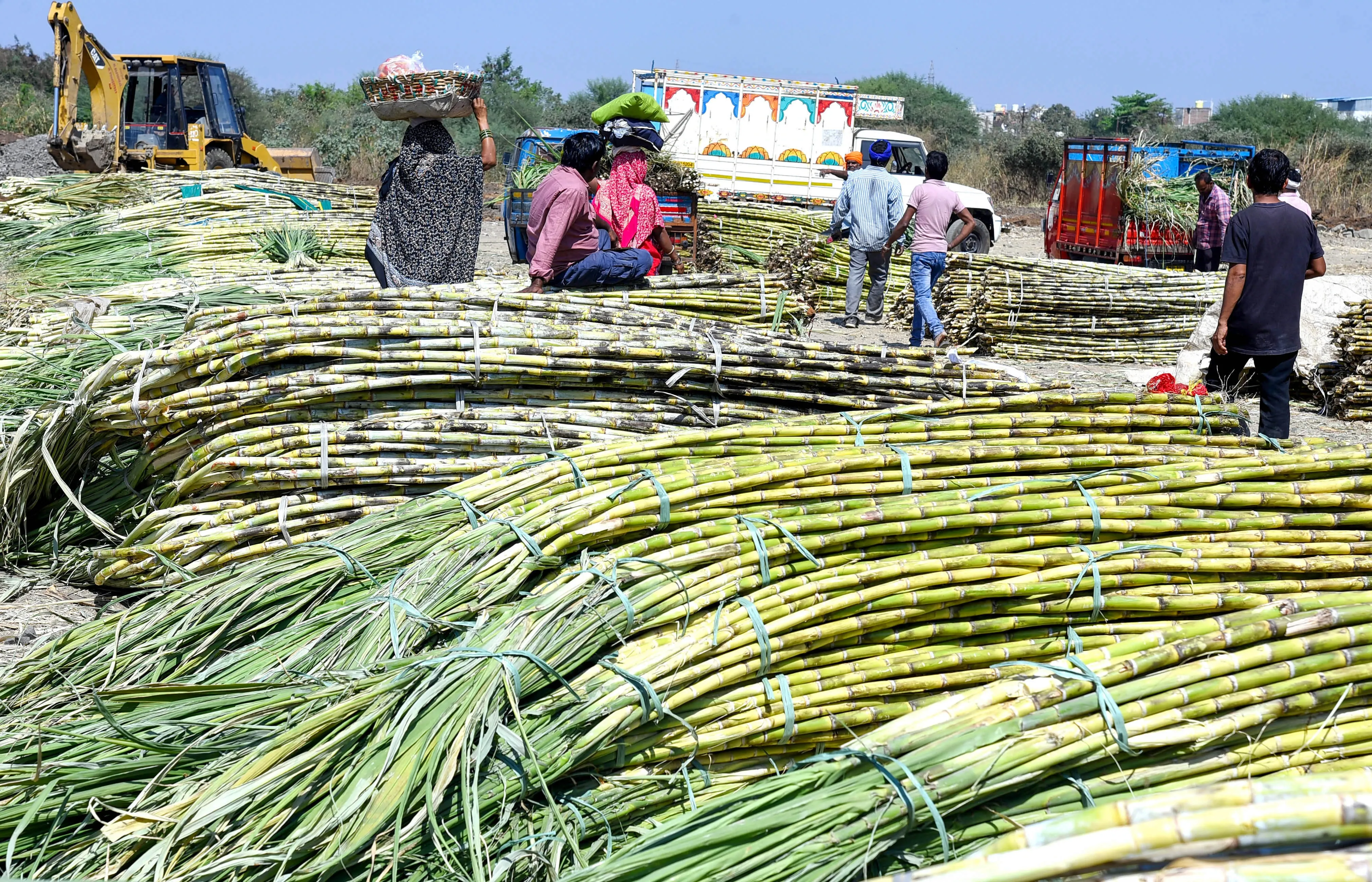 Will India's sugar production soar by 18% this season?
