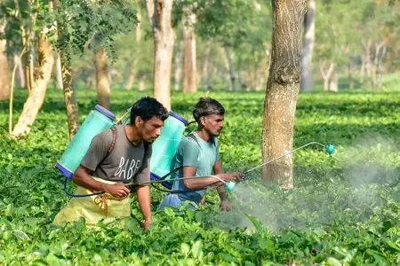 Has India's unemployment rate improved in the October-December quarter?