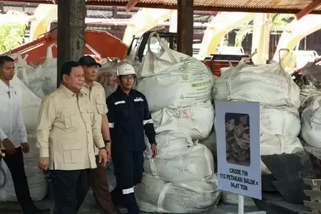Indonesian President orders intensified crackdown on illegal mining