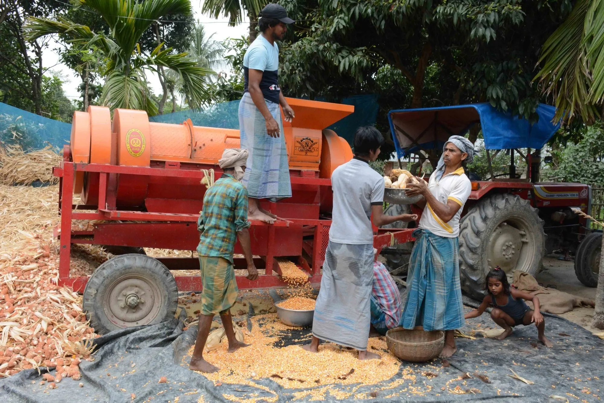 Is Inflation Pressure Lessening for India's Farmers and Rural Workers?