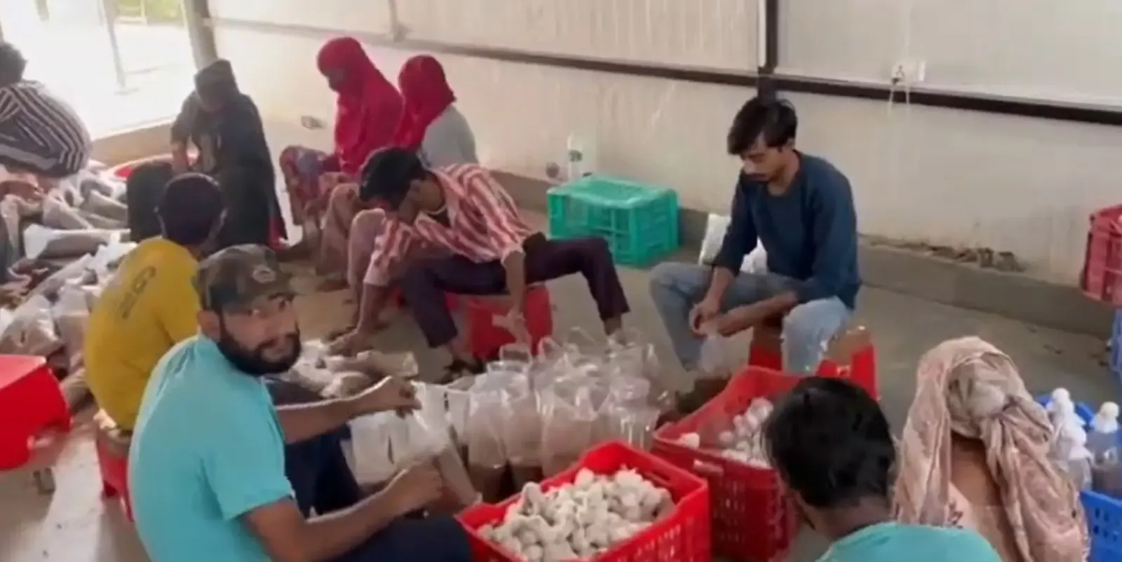 How is Innovation Transforming Farming in Nuh with a 20-variety Mushroom Plant?