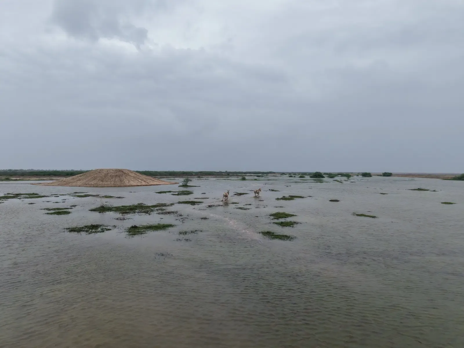 Is the Gujarat Government's Initiative in Kutch's Little Rann the Future of Water Conservation?