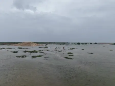 Is the Gujarat Government's Initiative in Kutch's Little Rann the Future of Water Conservation?