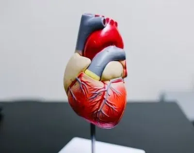 Study Reveals Link Between Insulin Resistance and Increased Risk of Aortic Stenosis in Men