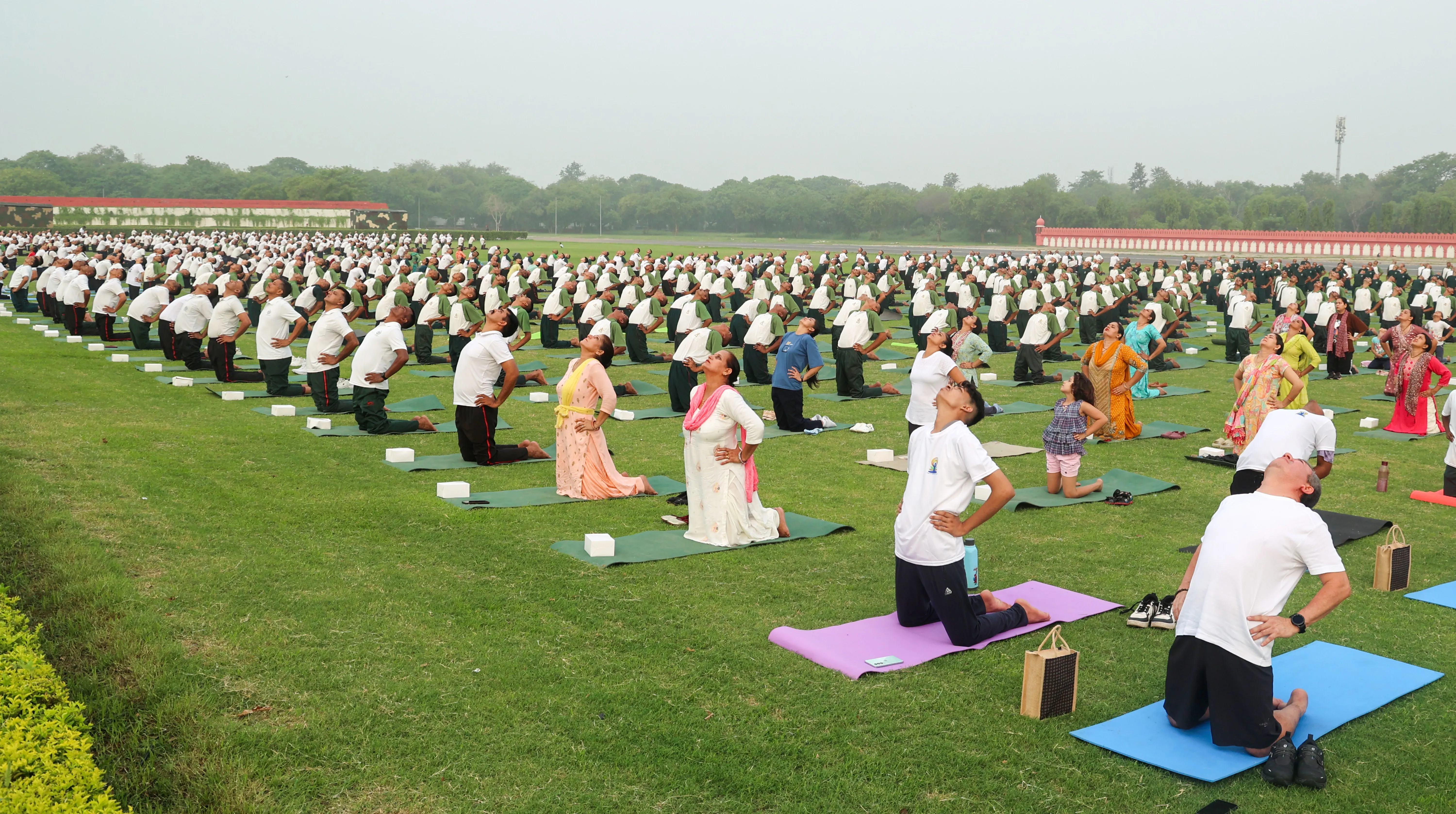 How Did the International Day of Yoga Promote Peace and Stability?