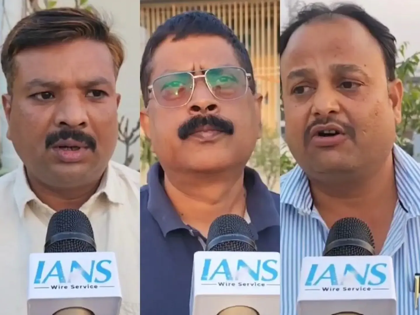 International Sparrow Day: Varanasi Resident Fosters Sparrow Habitat to Combat Population Decline