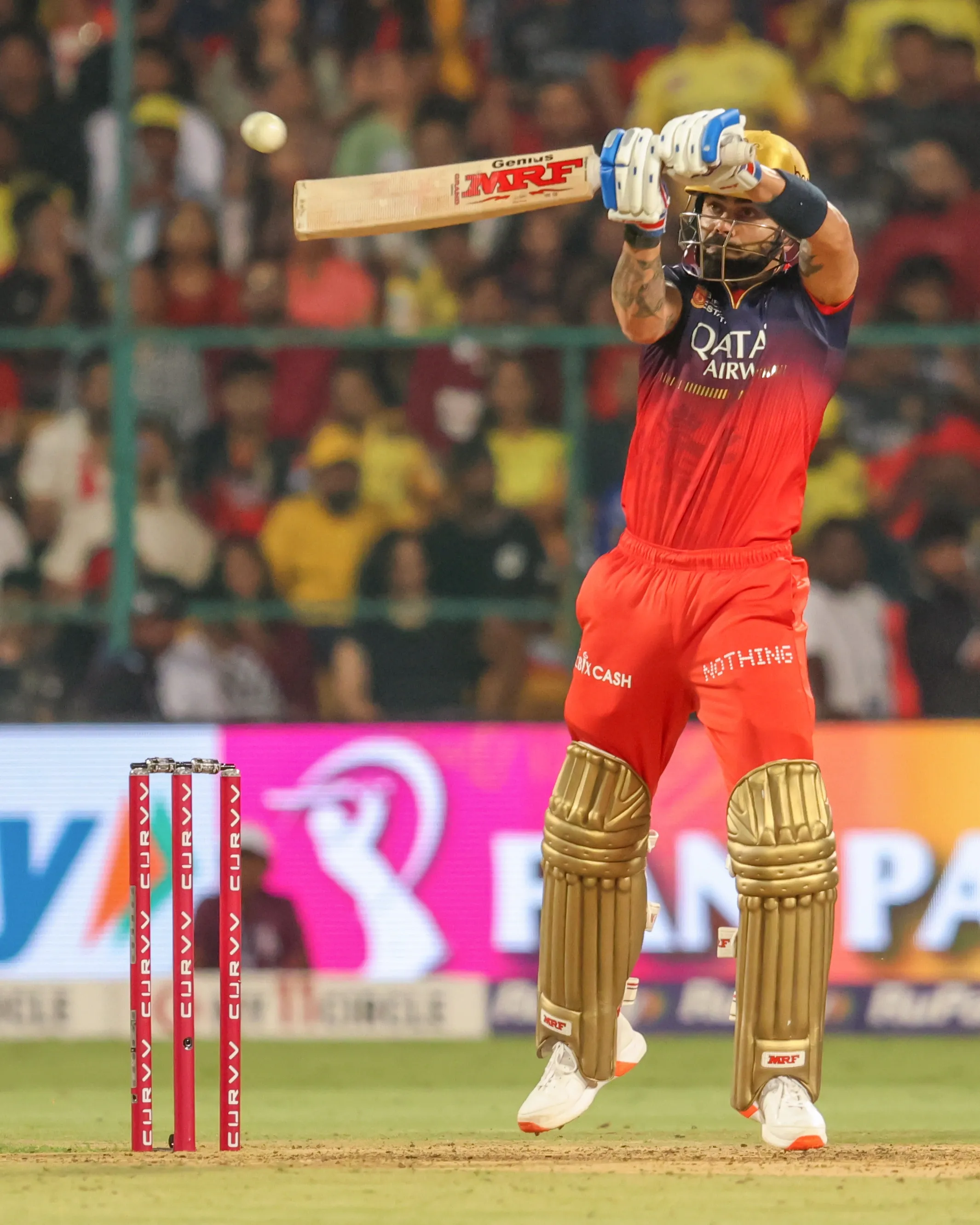 Will Kohli Shine as RCB Faces KKR for Playoff Spot?