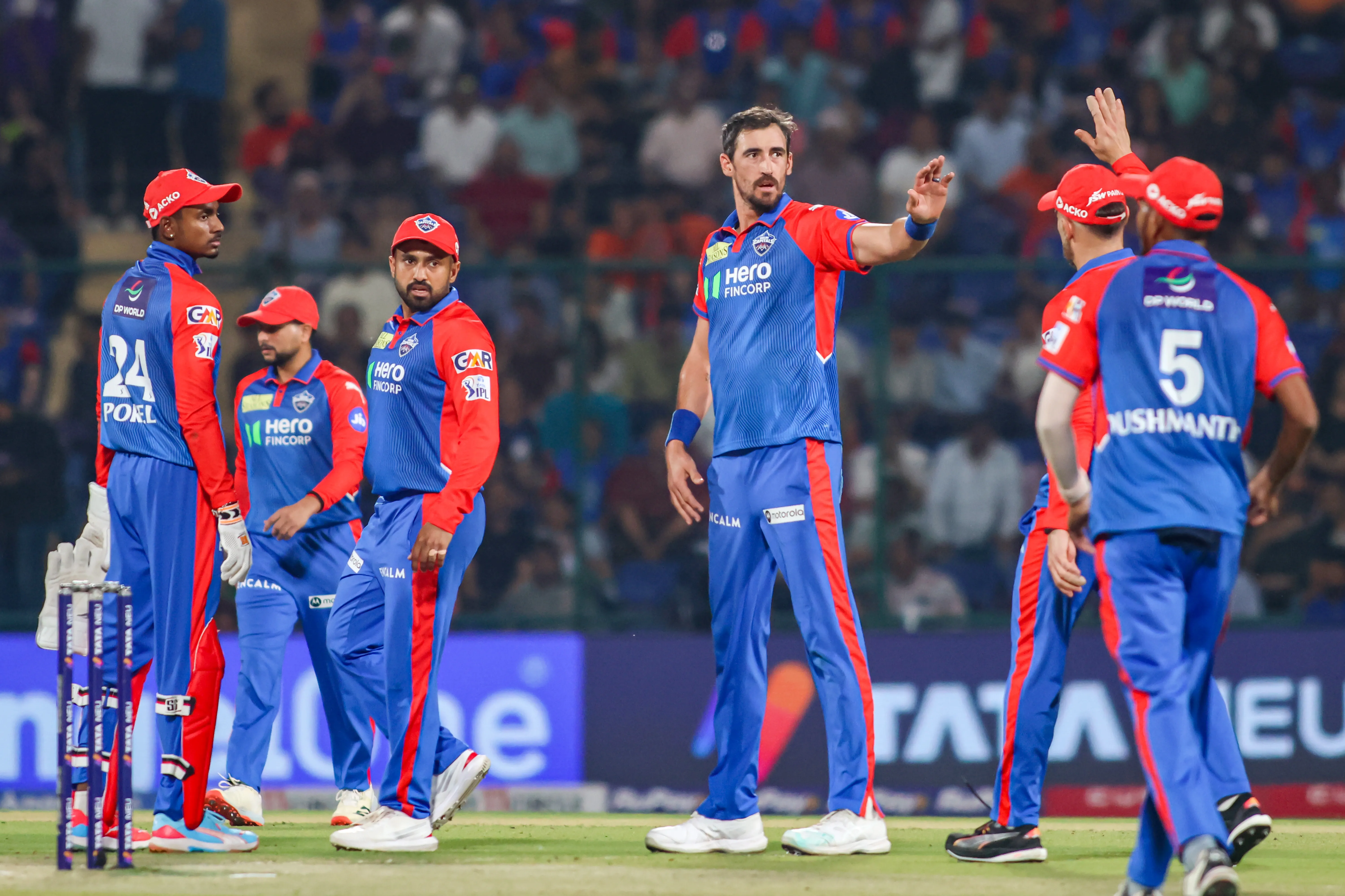 Can Delhi Capitals Replace Mitchell Starc?