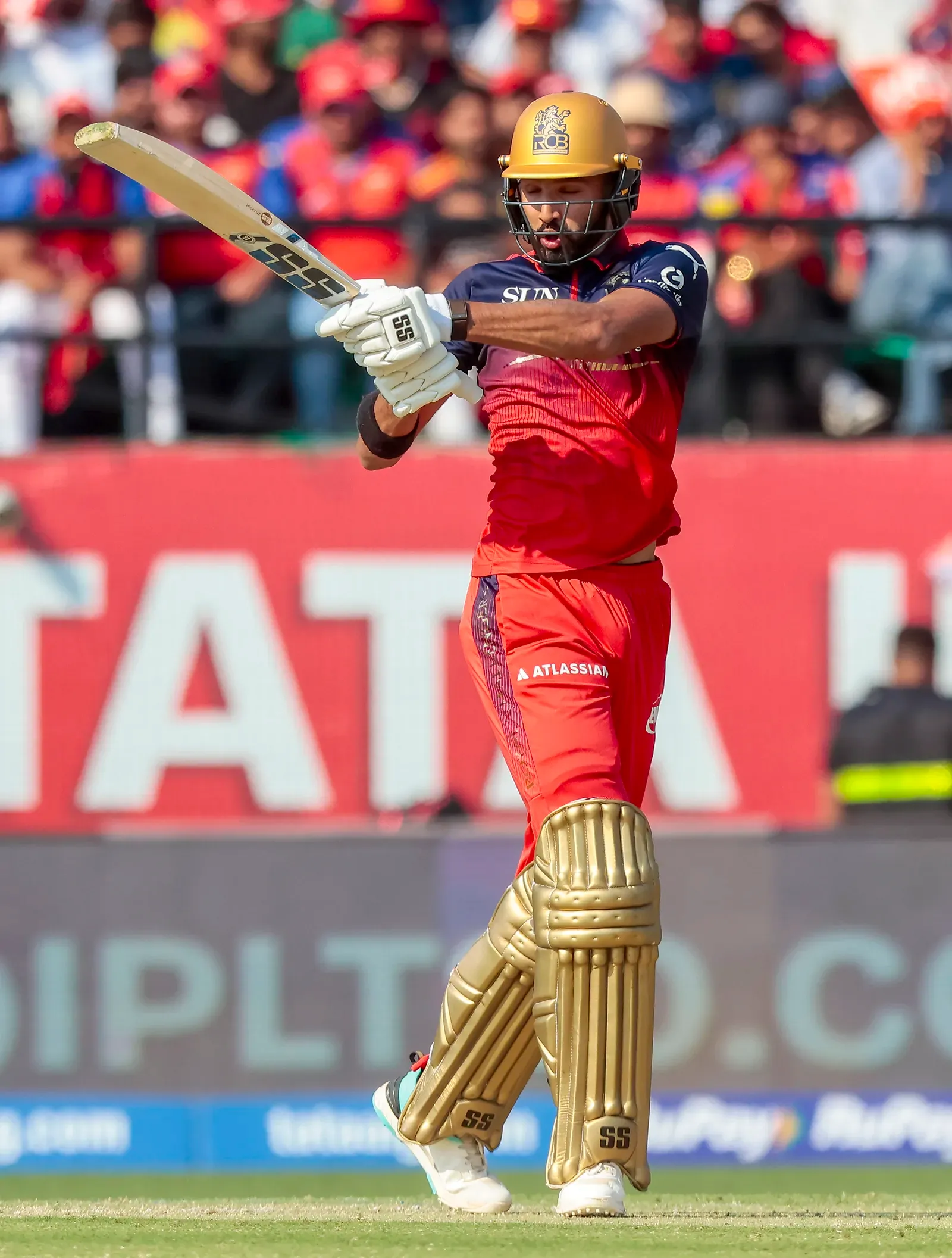 IPL 2026: Padikkal backs RCB bowlers to defend 222/4 vs PBKS in Dharamshala