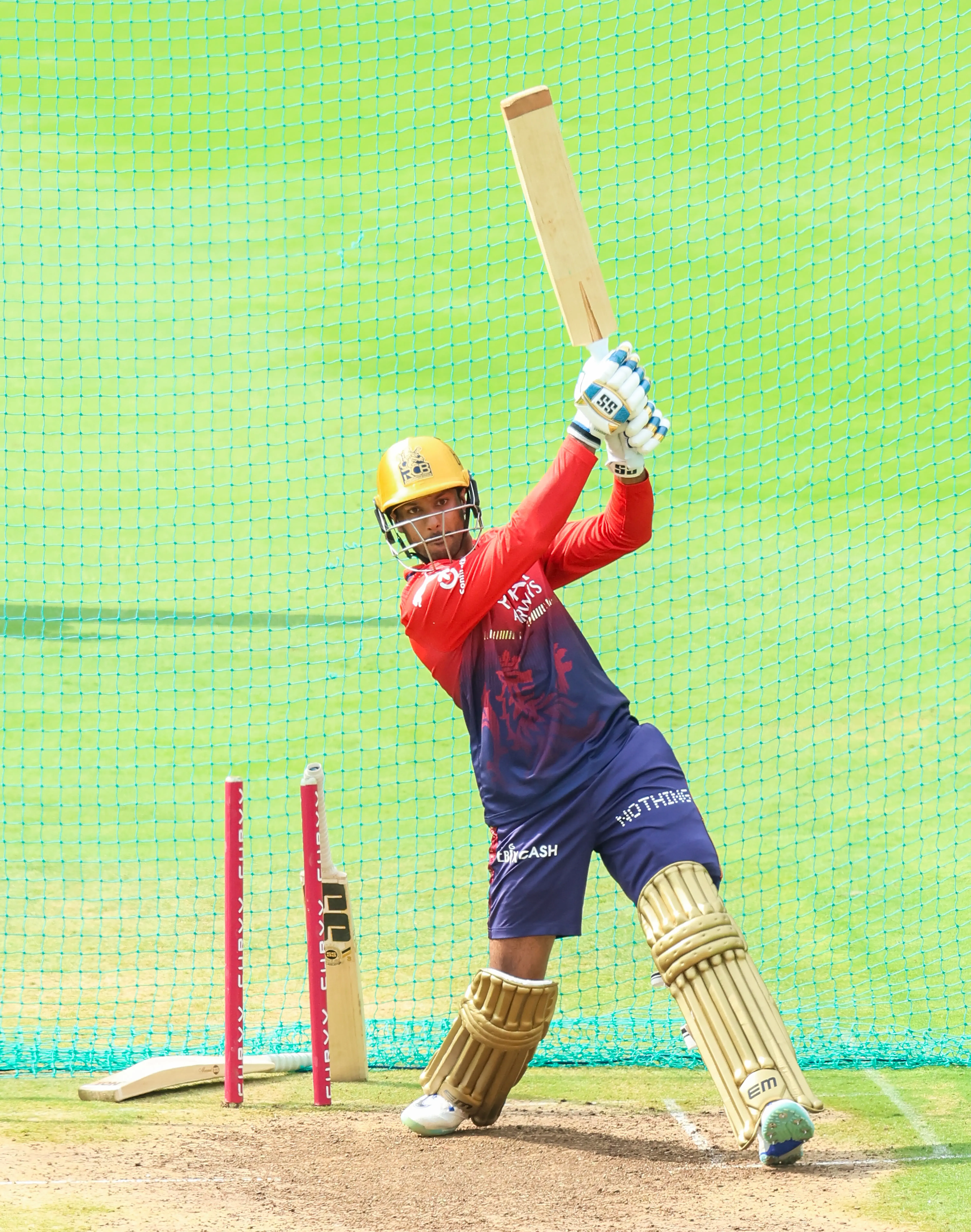 IPL 2026: Who are the players released by RCB?