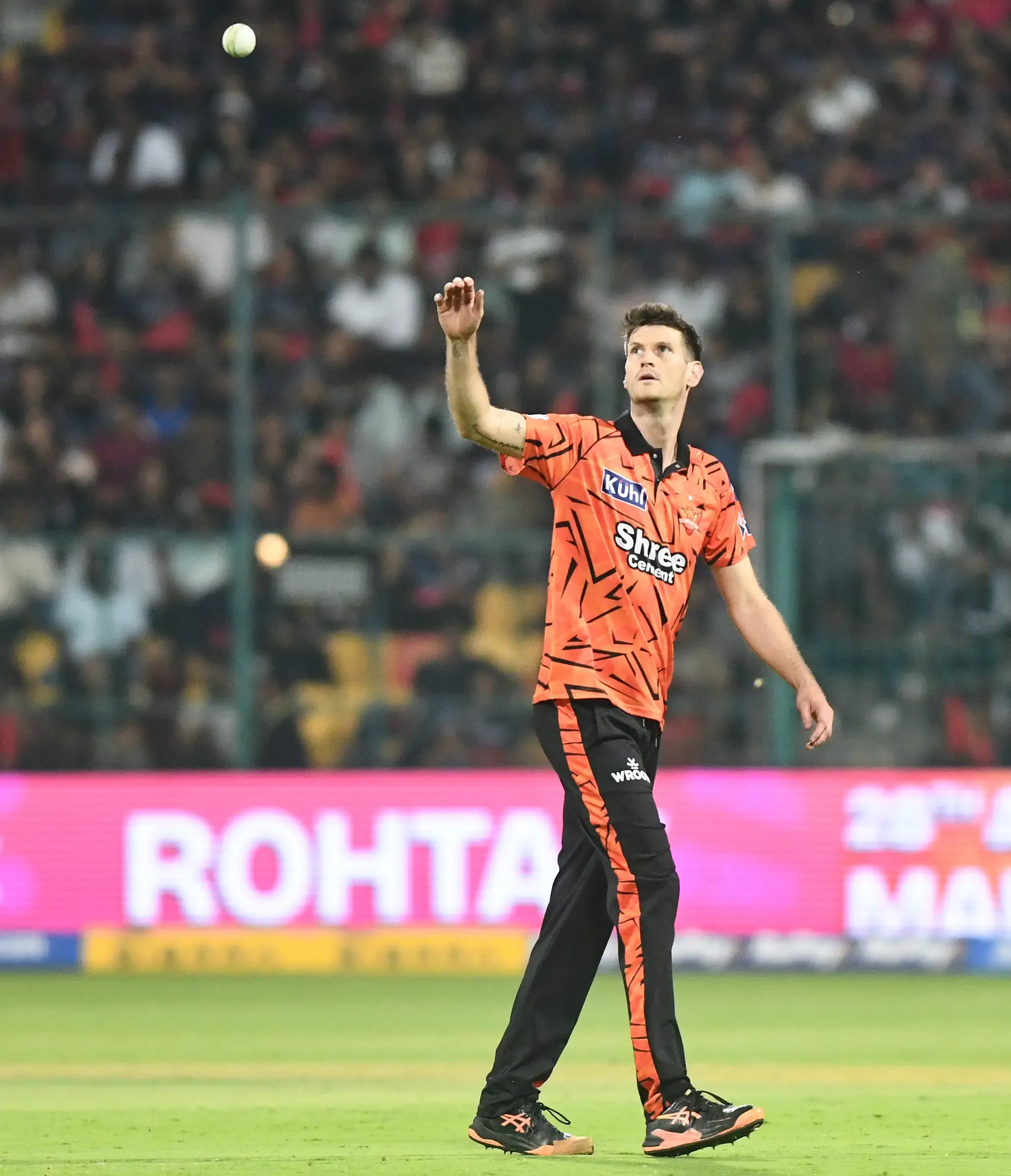 Major Setback for SRH as David Payne Exits IPL 2026 Due to Injury