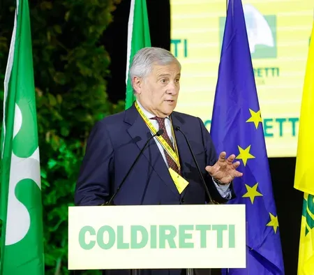 Italy backs Ukraine's full EU membership via standard accession process