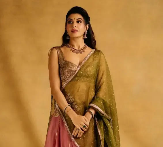 जैकलीन फर्नांडिस की सरकारी गवाह बनने की याचिका की सुनवाई टली, अगली सुनवाई 8 मई को