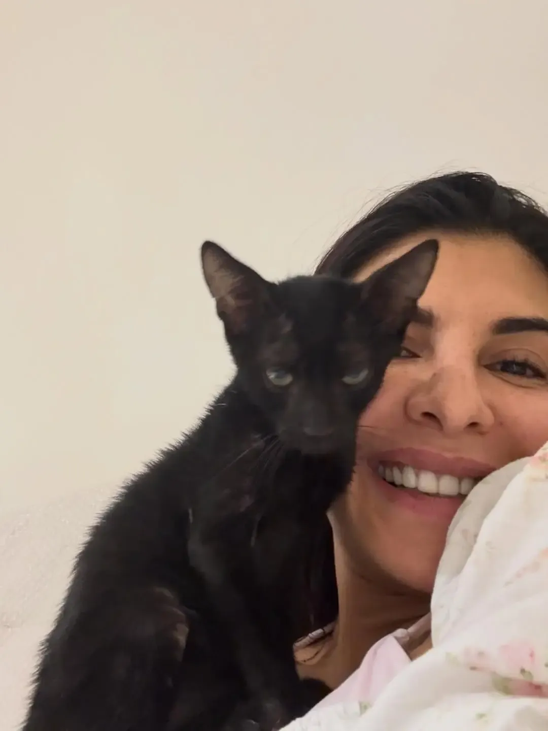 How Did Jacqueline Fernandez Rescue Kittens and Advocate for Strays?