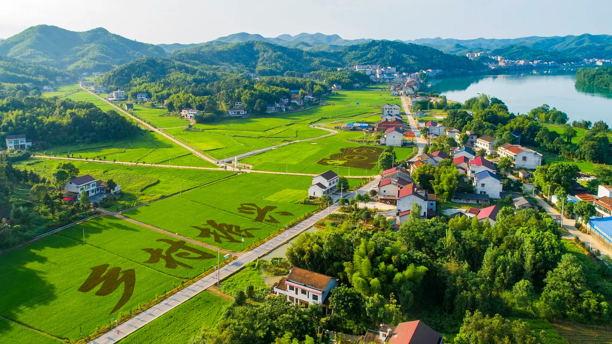 क्या जलवायु परिवर्तन से निपटने में चीन की भूमिका की सराहना हो रही है?