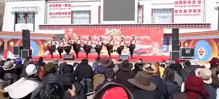 जमीनी स्तर के कला समूहों के पेशेवर स्तर को उन्नत करने पर सीपीपीसीसी सदस्य डालो का सुझाव