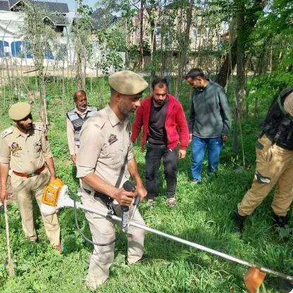 बारामूला पुलिस ने नशामुक्त अभियान के तहत पालहालन में एक कनाल भांग की खेती नष्ट की