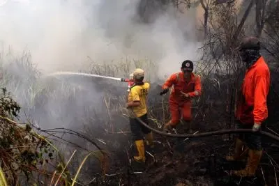 Japan: One person dies, over 170 buildings damaged after fire erupts in Oita 
