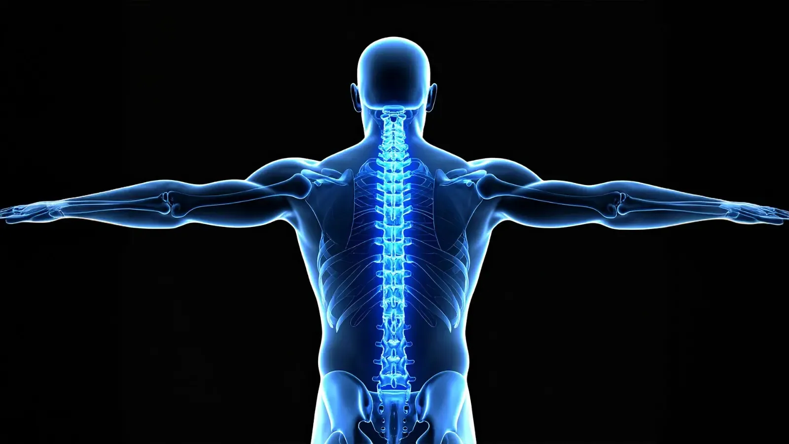 Can Japanese Researchers Regenerate Bone Using Stem Cells?