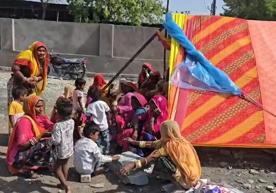 झालावाड़ में आवारा कुत्तों का हमला: 2 साल की मासूम बच्ची की दर्दनाक मौत, परिवार टूटा