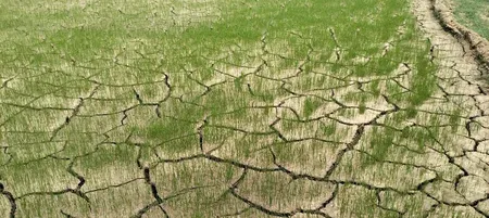 झारखंड में 54% तक कम बारिश: सूखे की आशंका, सरकार ने वैकल्पिक खेती और राहत योजनाओं की तैयारी तेज की