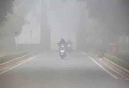 Is There a Need for a Comprehensive, Year-Round Strategy to Tackle Air Pollution?