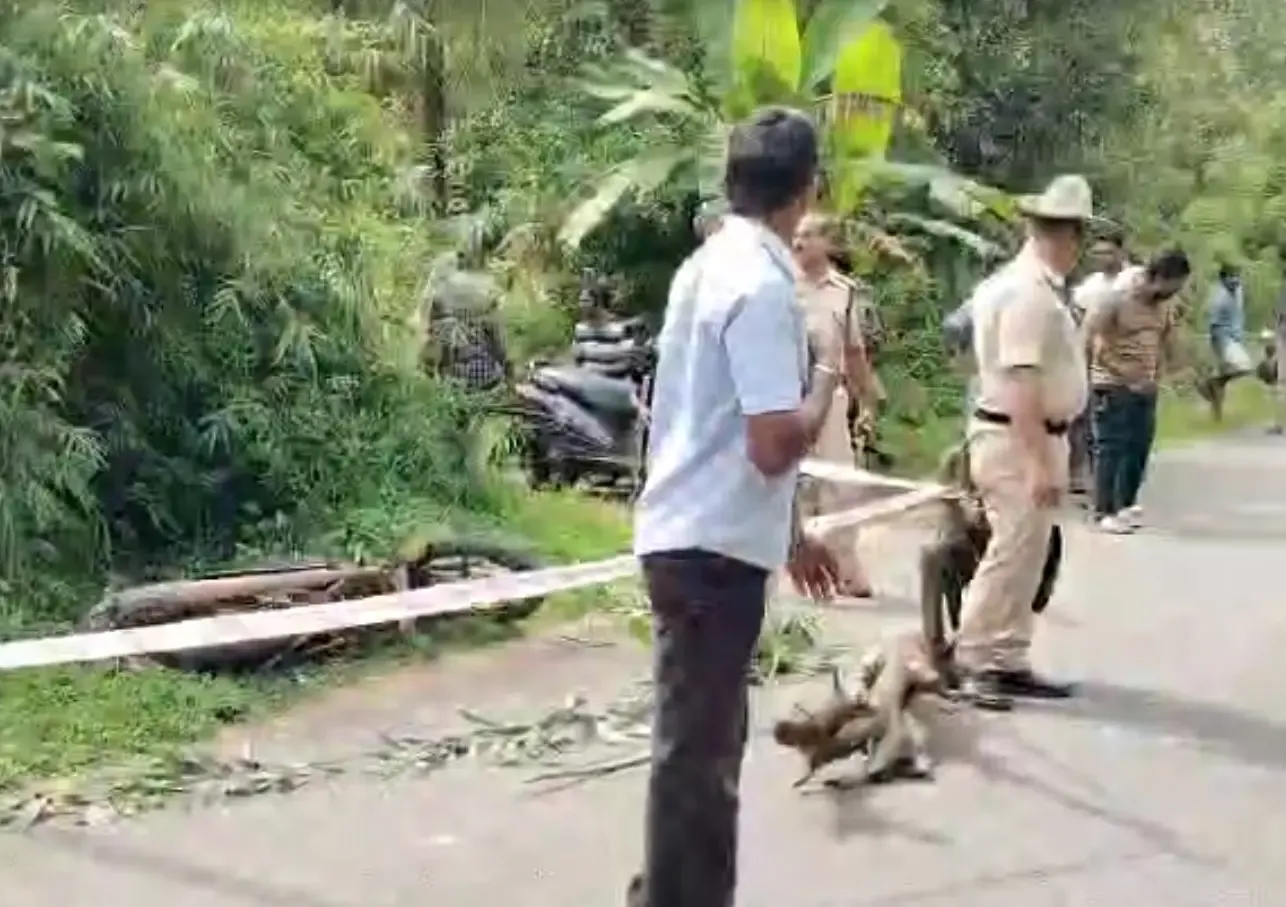 Why Did a Jilted Lover Stab a Karnataka Woman?