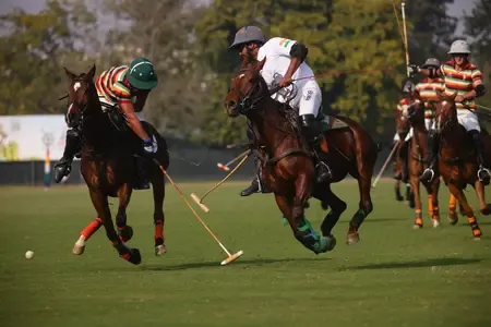 How Did the Jindal Polo Team Triumph Over Jaipur Aravali in the Raffles Sirmour Cup?