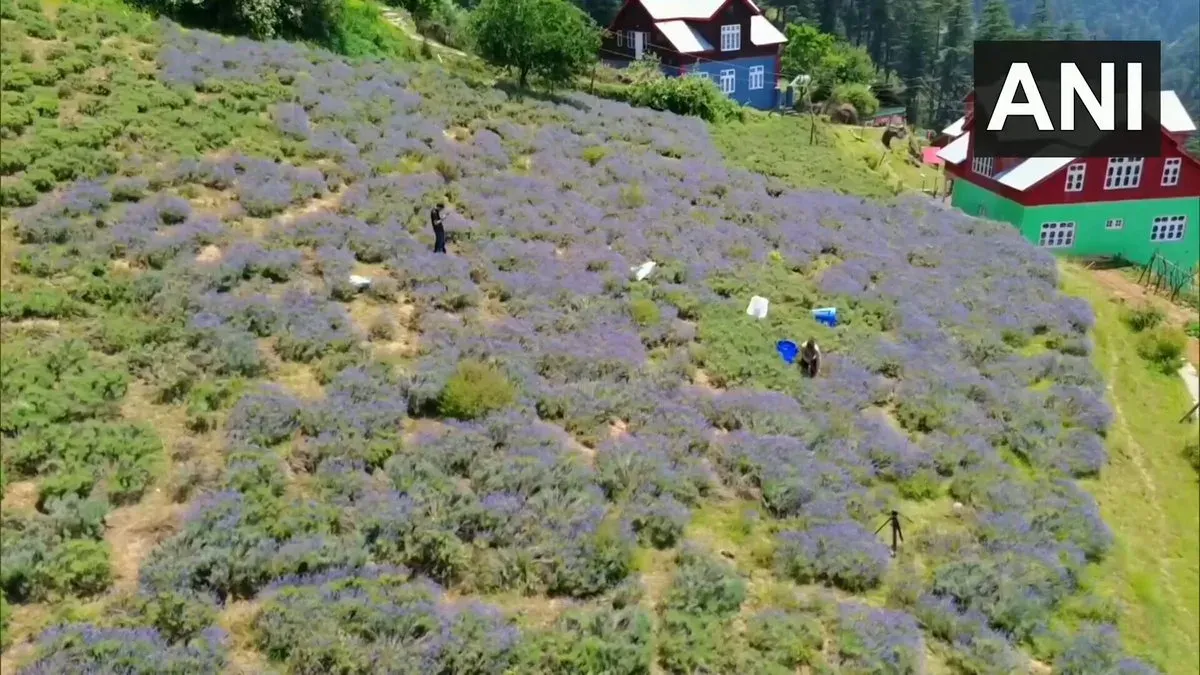 Jitendra Singh Highlights Lavender Boom for Rural Women in Doda