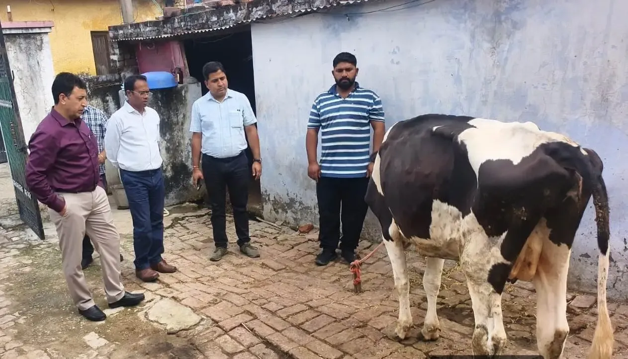 Lumpy Skin Disease in J&K: Central team inspects affected villages, collects samples