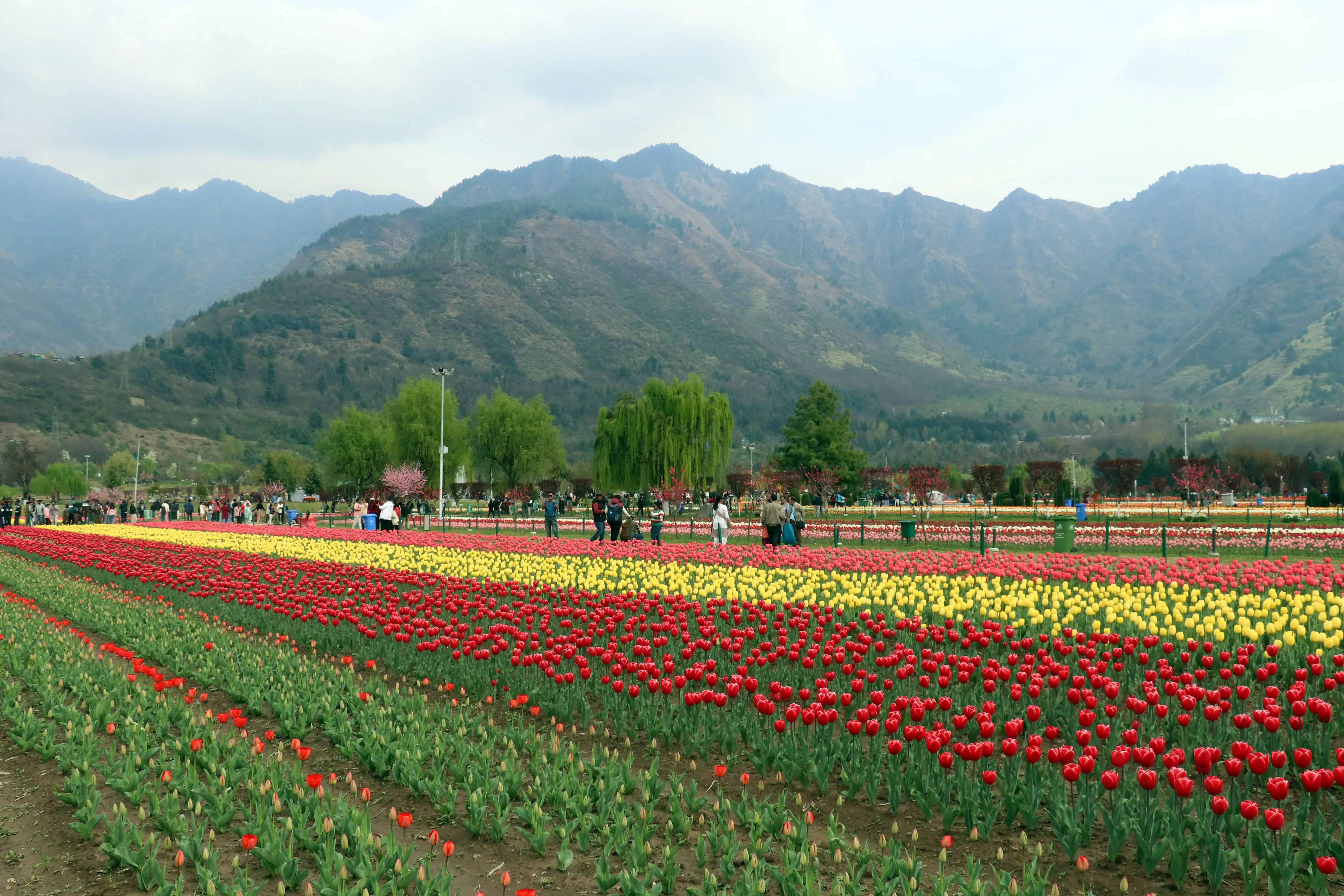 Will J&K L-G Reopen 11 Tourist Spots in Valley and 3 in Jammu Division?