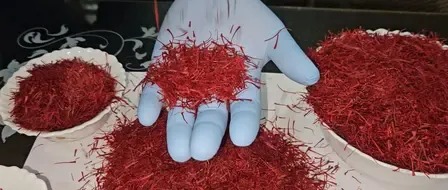 Why Are J&K Residents Celebrating After PM Modi Gave Kashmiri Saffron to Putin?