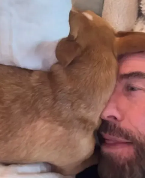 John Travolta's dog Peanut steals the show in post-bath cuddle video