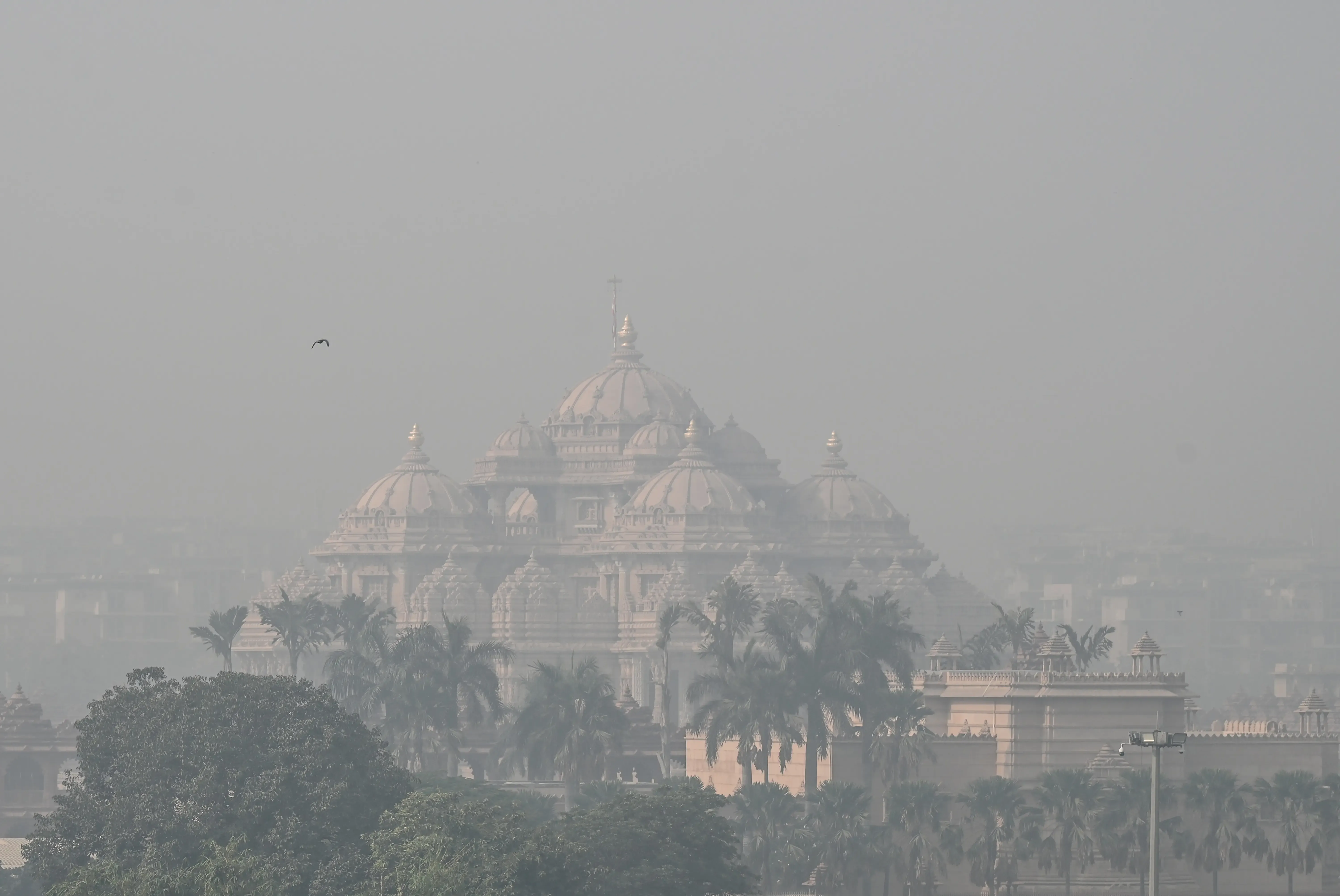 Can the Judiciary Solve Delhi-NCR's Pollution Crisis?