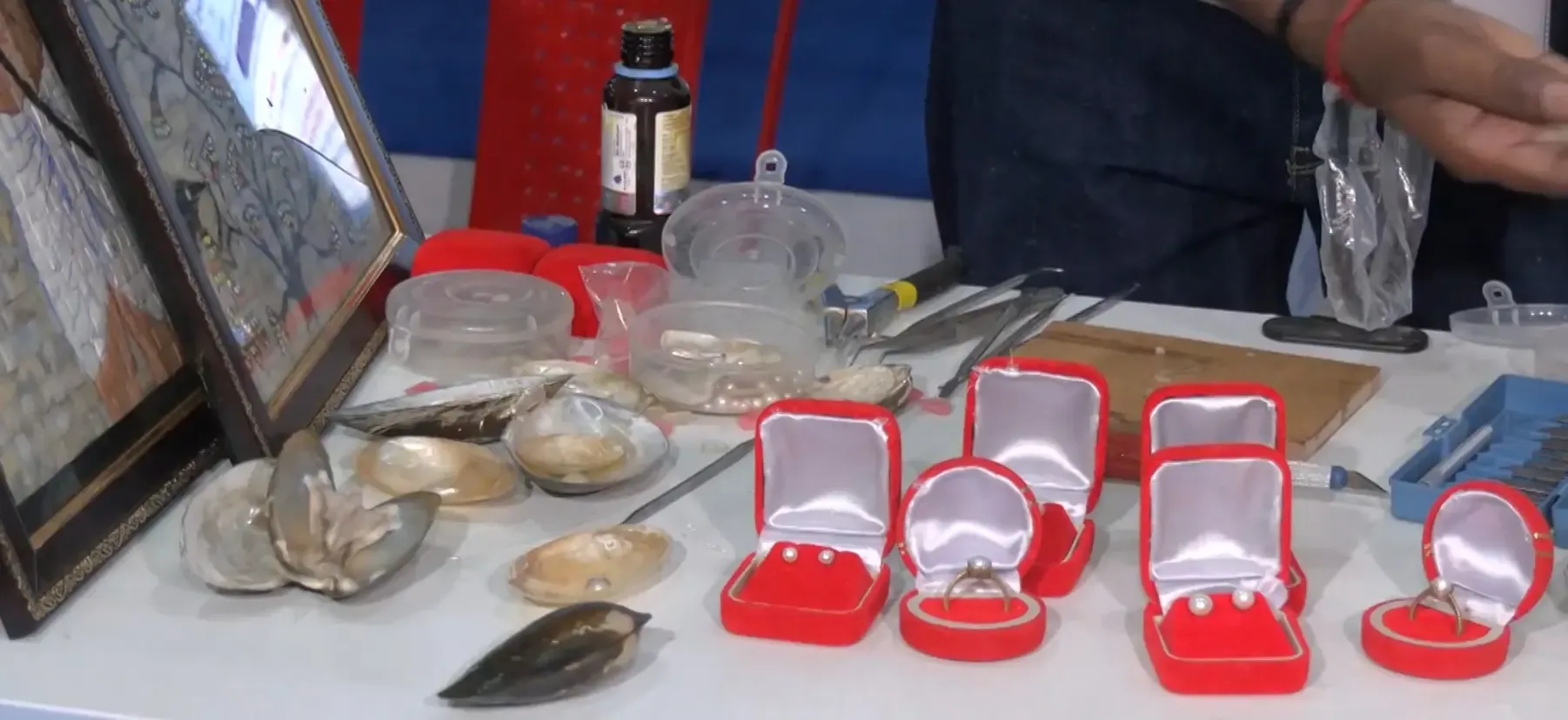 कम लागत में अधिक मुनाफा: रायसेन कृषि महोत्सव में सीखें मोती की खेती