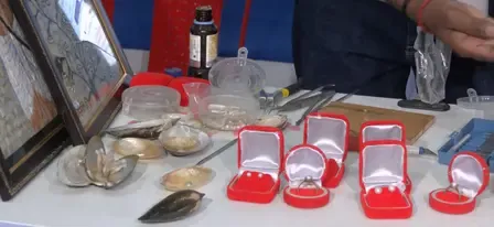 कम लागत में ज्यादा मुनाफा, रायसेन कृषि मेले में सिखाई जा रही मोती की खेती