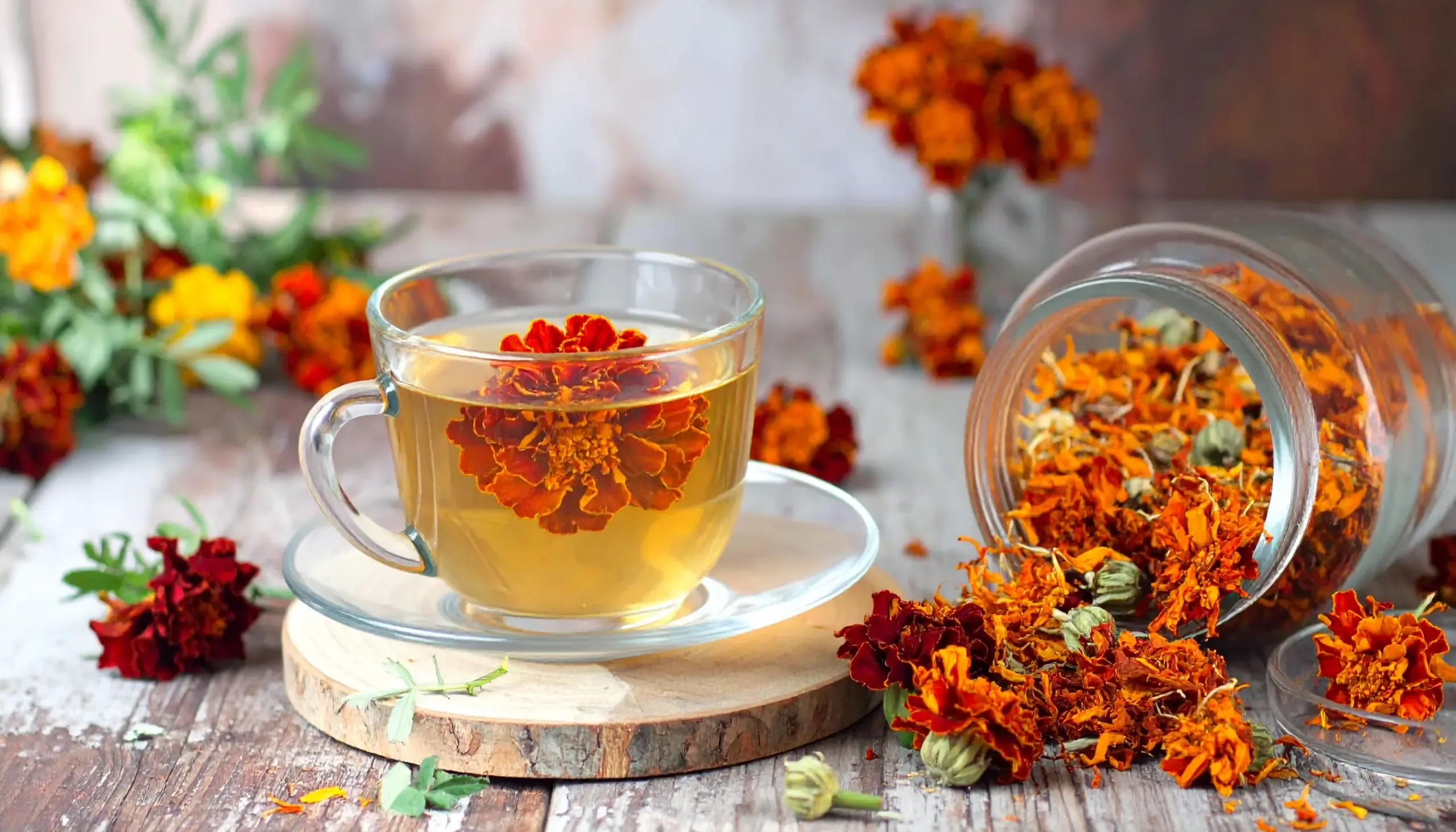 गर्मियों में फूलों की चाय: कमल, गुड़हल और मौलश्री के अद्भुत स्वास्थ्य लाभ