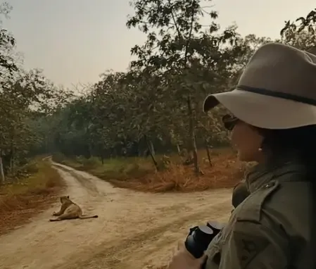 कंगना रनौत ने गिर नेशनल पार्क की तस्वीरें शेयर कीं, फैंस बोले-  'गुजरात में शेर देखने गई हिमाचल की शेरनी'