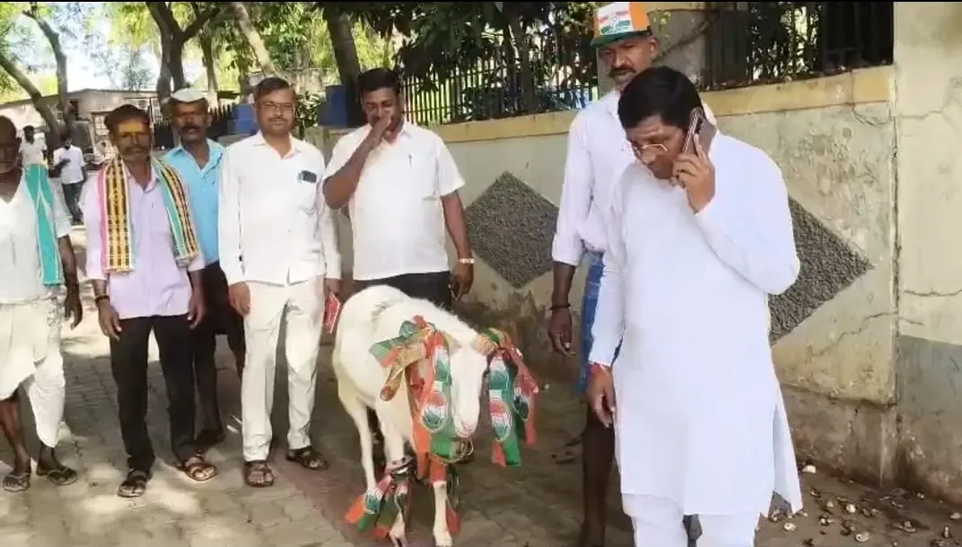 Karnataka Bypolls: Voter Turnout Exceeds 20%25 in Early Hours; Congress Candidate Arrives with Adorned Ram