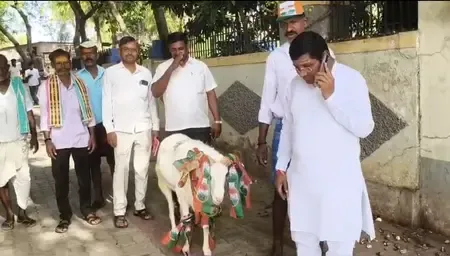 Karnataka Bypolls: Voter Turnout Exceeds 20% in Early Hours; Congress Candidate Arrives with Adorned Ram