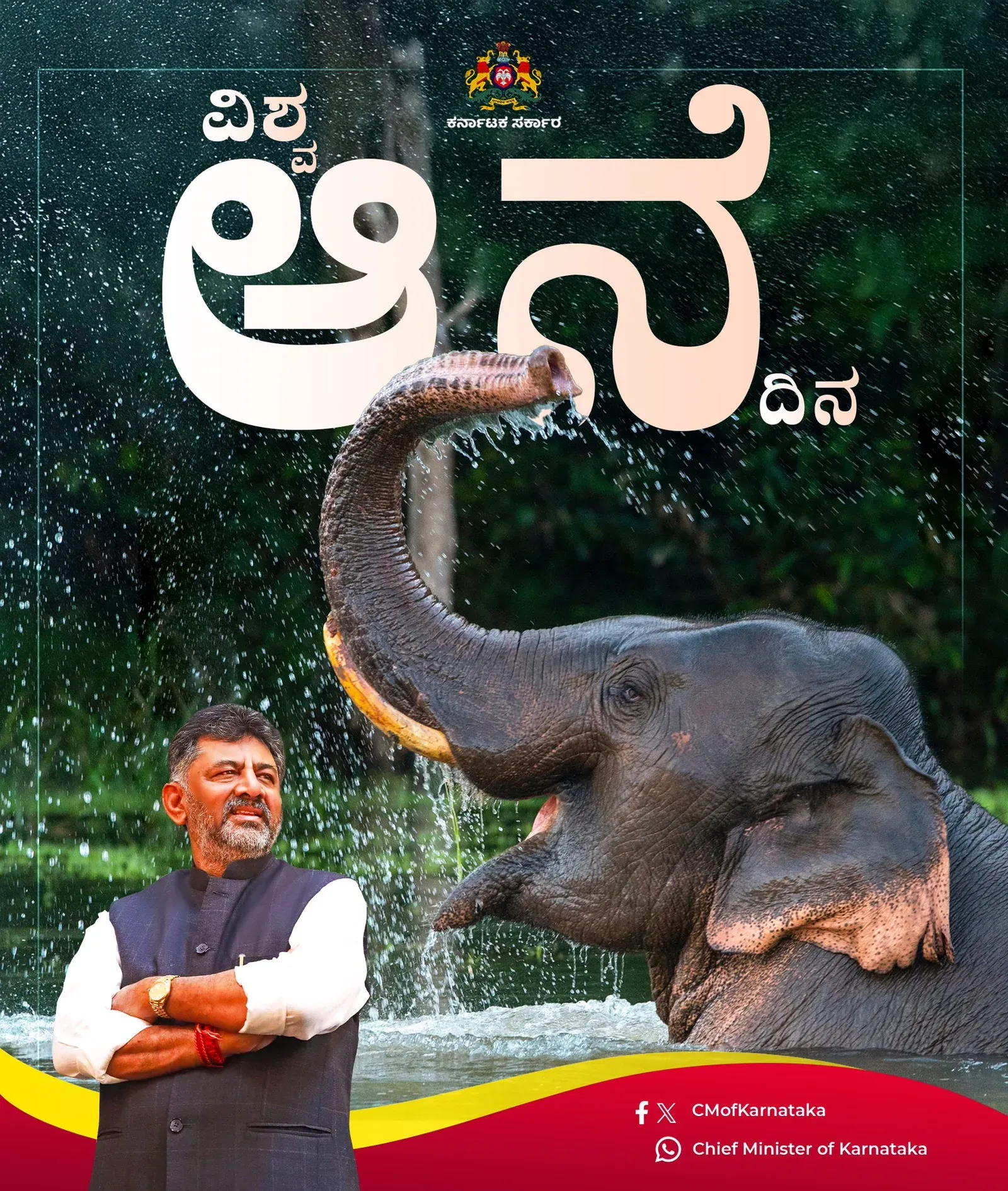 Karnataka CMO Champions Elephant Corridors on World Elephant Day
